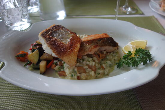 Saibling und Zander auf einem Schwammerl-Risotto