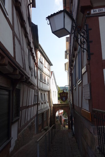 Niedertor