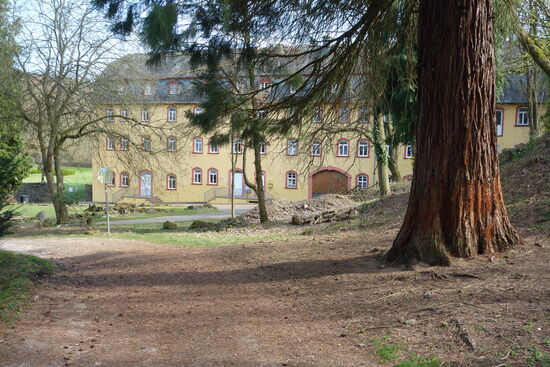 die Nutzung des Gebäudes ist derzeit unklar - im Park stehen massive Sequoiabäume.