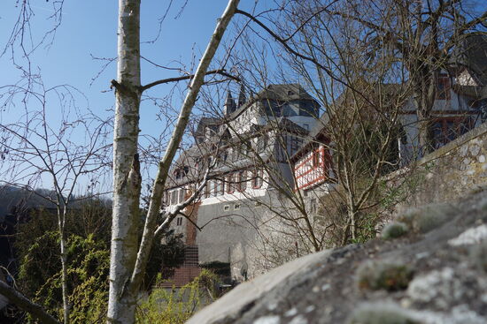 Diezer Grafenschloß