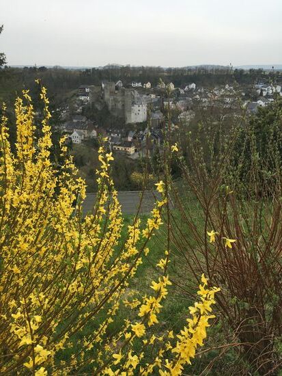 Blick auf die Burg Runkel