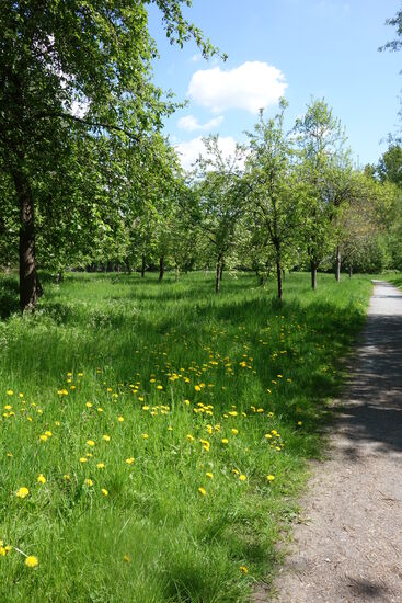 mit Obstwiesen