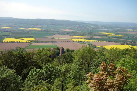 von diesem Turm hat man eine tolle Aussicht auf das Wesertal mit den z.Zt. gelben Flecken der Rapsfelder.