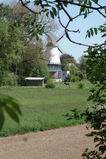 Um Minden reihen sich viele Windmühlen