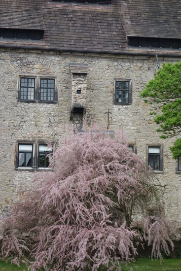 sichtbarer Toilettenerker