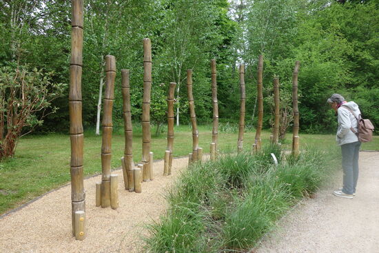 der Stelzenweg - das balancieren ersparen wir uns jedoch