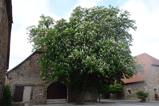 zugehörige Gutsgebäude
