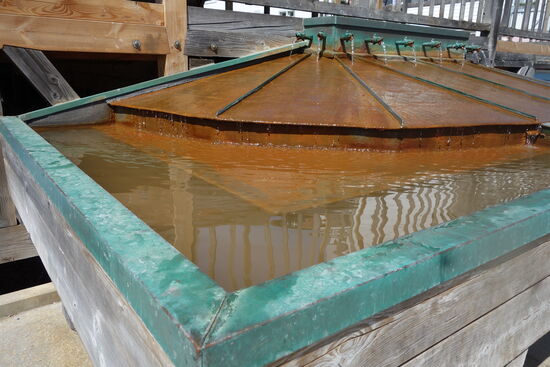 Sole- und Kneipp-Armbecken