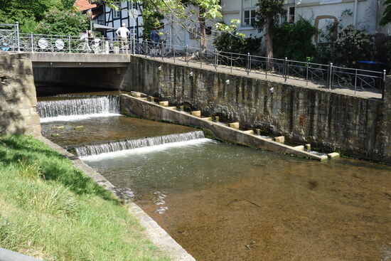 auch finden wir die Hilfen für Fische zur Überwindung der Höhenunterschiede