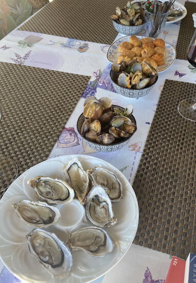 Austern, Venusmuscheln