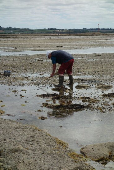 peche en pied - Fischen zu Fuß