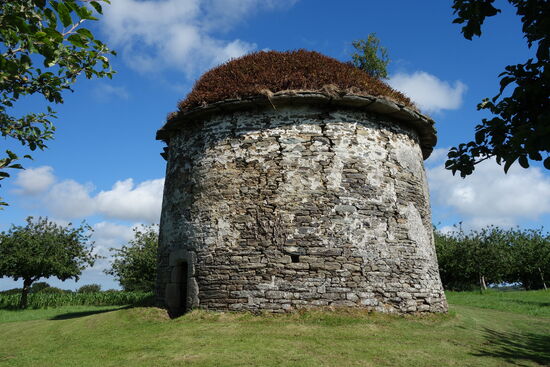 Taubenhaus auf der Wiese
