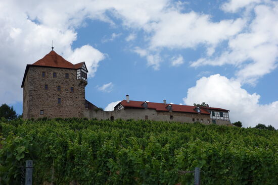 Burg Wildeck