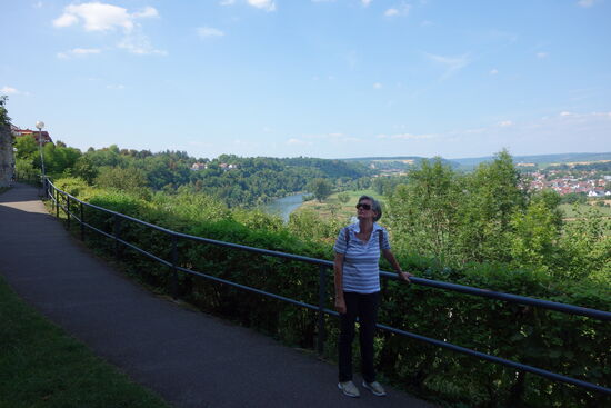 weiter Blick über den Neckar