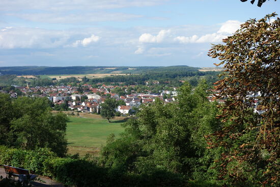Blick auf Offenau im Tal