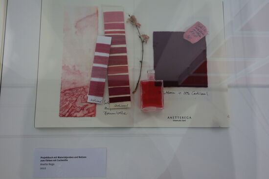 Färben mit Cochinelle