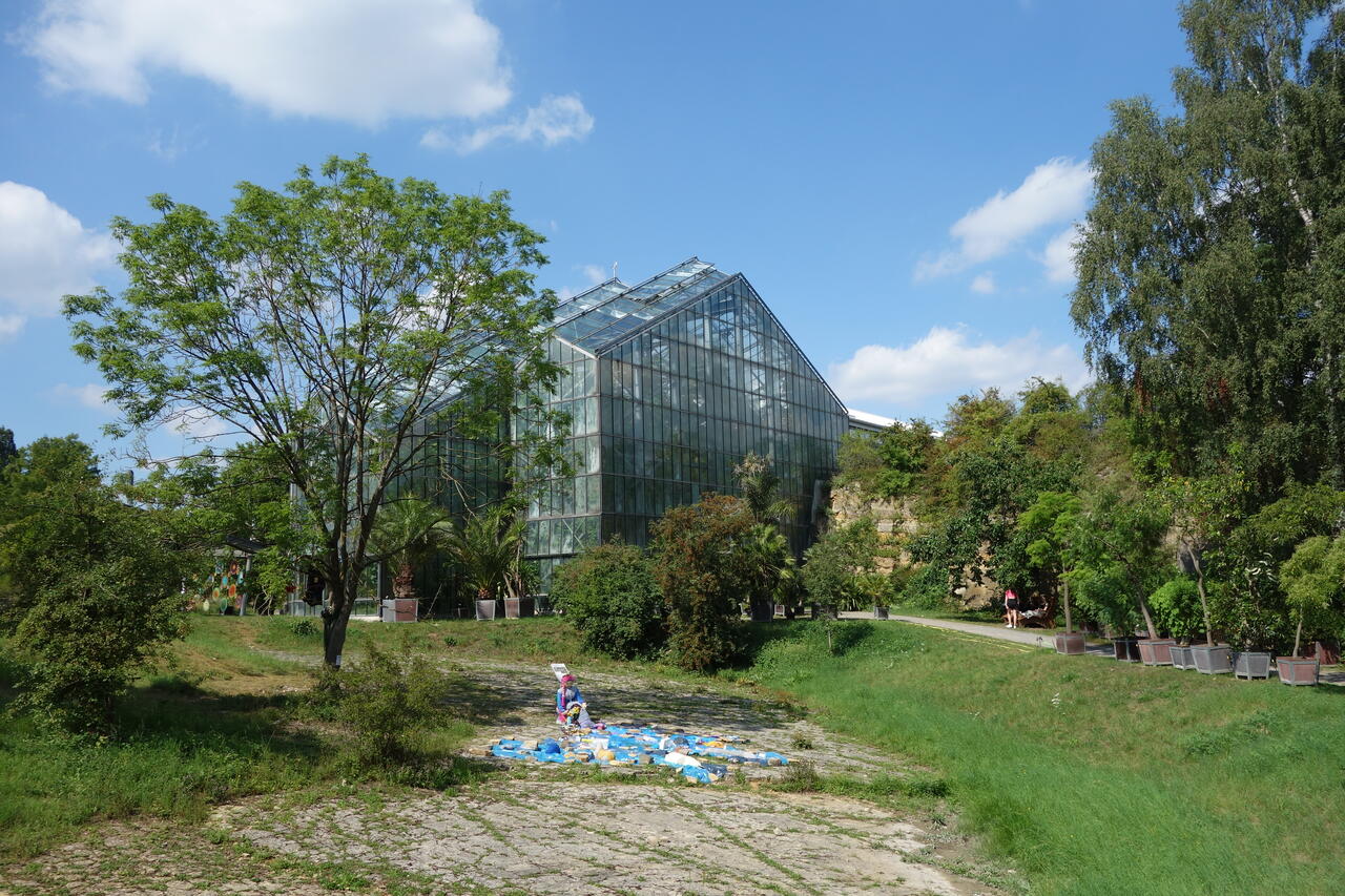 Botanischer Garten Osnabr ck Botanischer Garten Osnabr ck