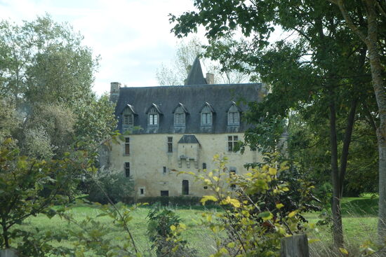 leider nur durch die Sträucher zu beschauen