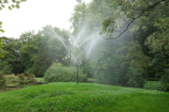 regnender Baum - l'arbre de Cristal