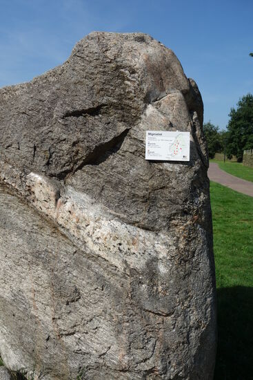 Migmatit aus dem Präcambrium, ca 1800 Millionen Jhre