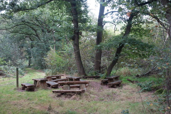 das grüne Klassenzimmer