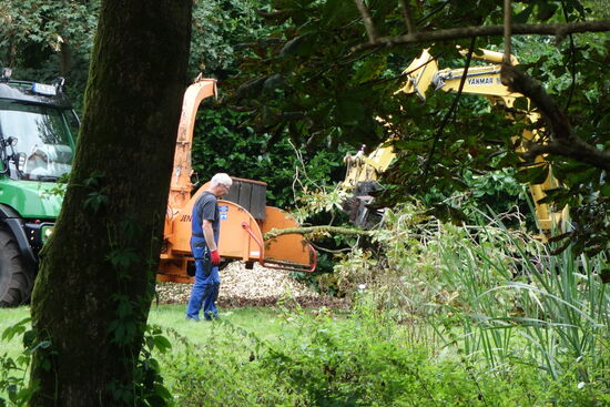 enormer Krach enmpängt uns am Ende des Spazierganges - professionelles Baumschreddern