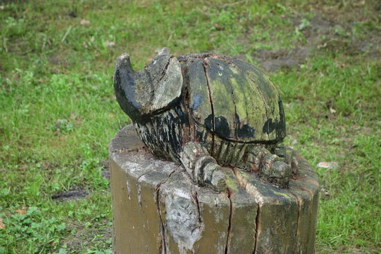 Schnitzerarbeit de seltenen Nashornkäfers.