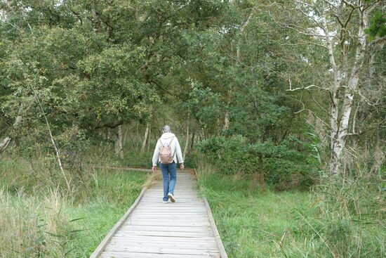 Das Moor ist über einen 150m langen Bohlenweg zugänglich, darf ansonsten wegen seiner Einzigartigkeit und Trittempfindlichkeit aber nicht betreten werden um es möglichst lange zu erhalten.