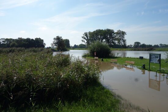 als wir jedoch ankommen herrscht Hochwasser und man kann nur ahnen, wie die Fähre einige Stunden später zurückkommt.