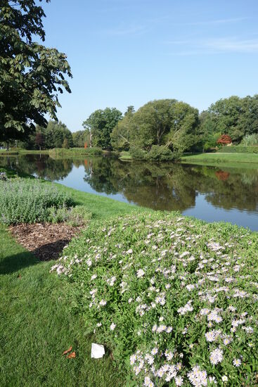 Stadtpark