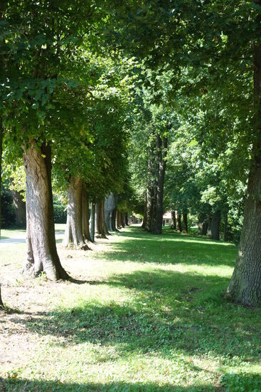 Spalierlinden begleiten die umgebenden Gräfte