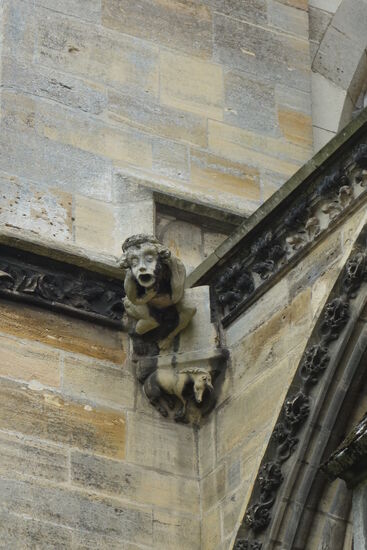 mich begeistern immer wieder die unterschiedlichen Wasserspeier