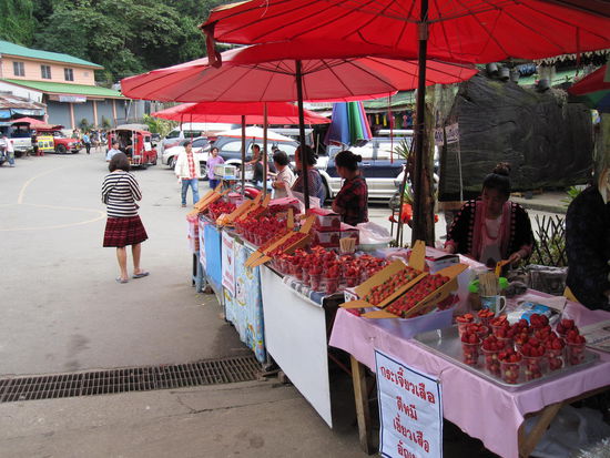 Erdbeeren für 10€!!!
