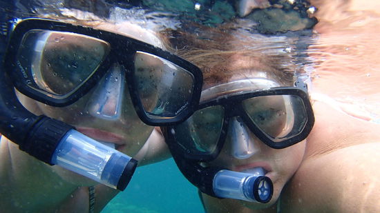 Zwei seltene Exemplare 