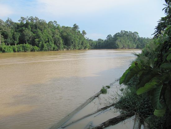 Kinabatangan River, breit und lang