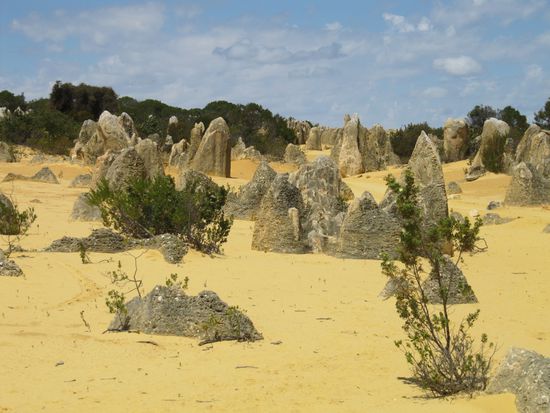 Die Pinnacles bei Cervantes