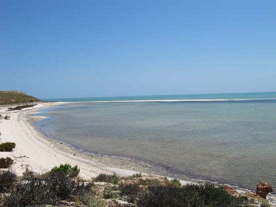 Camping an der Shark Bay