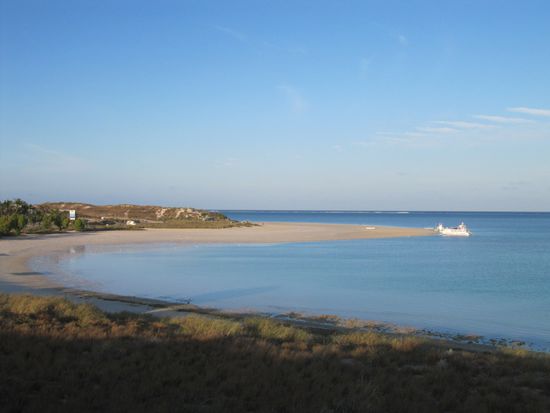 Coral Bay. Auch hier laufe ich früh morgens die Bucht ab. Es gibt fliegende Fische, Vögel und super Aussicht.