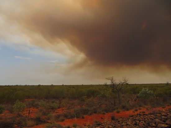 Buschbrand am Rande des Hw. Wir waren weit entfernt vom Feuer, dieses haben wir nicht mal gesehen, aber die Rauchentwicklung ist enorm. Eine Wolke riesigen Ausmaßes. Für uns schien sich keiner drum zu kümmern. Ob sich das von selbst regelt?