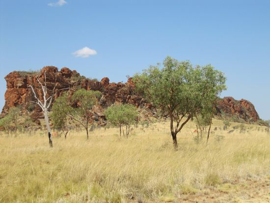 Am Rande der Kimberleys.