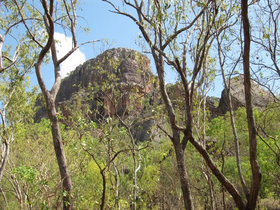 Extreme Hitze im Kakadu.