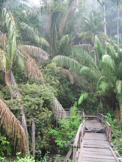 Bako Nationalpark. Rauf und runter bei gefühlten 39 Grad.