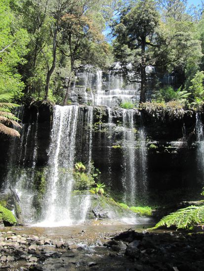 Mount Field National Park