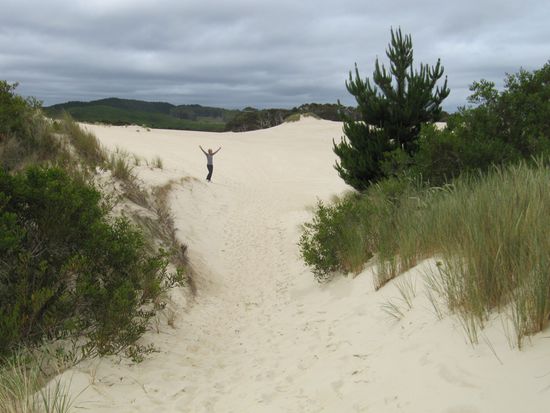 Dünenlandschaft 14 km nördlich von Strahan