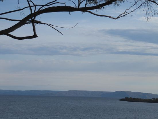Der Blick von unserer Terrasse in Strahan.
