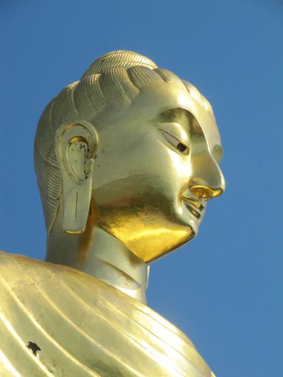 Im Land der goldenen Buddhas ...