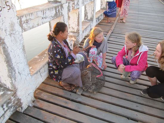 Die Dame verkauft !!! kleine süße Eulen zum Freilassen.