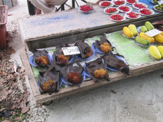 Auf dem Markt in Sri Aman: Fledermäuse für 20 RM. "Für 4 Euro kein schlechter Happen." Da ist ordentlich was dran.