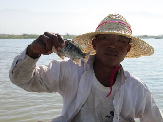... wollen jetzt schon Trinkgeld für Ihre Darbietung!!!