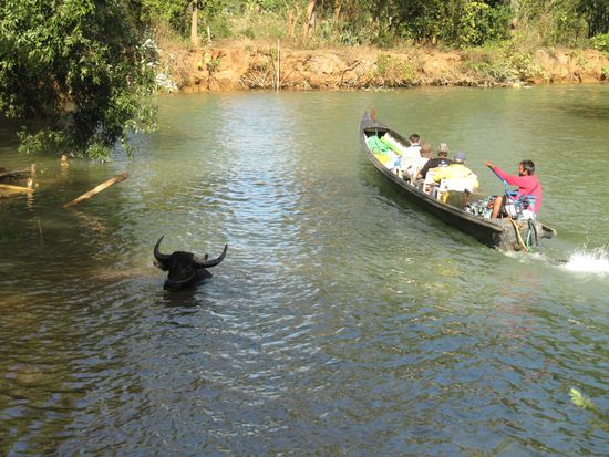 Abends wäscht man sich und seine Kühe im See.